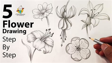 pencil drawings of flowers step by step|How to Draw Flowers Step.